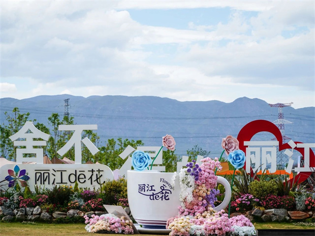 云南旅游,云南旅行社,云南團建公司,云南策劃公司,云南會議會展公司,麗江旅游,麗江旅行社,麗江團建公司,麗江策劃公司：愛上麗江的理由，從一朵花開始